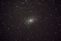 M33